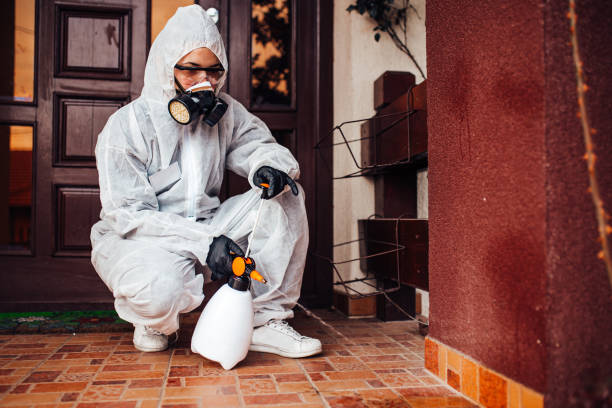 Attic and Crawl Space Rodent Treatment in Hitchcock